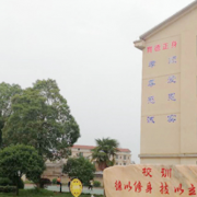 衡阳中德科技职业学校的logo