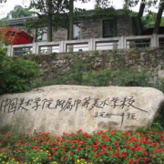 中国美术学院附属中等美术学校的logo