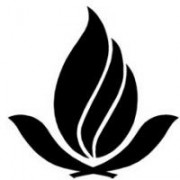 佛山科学技术学院的logo