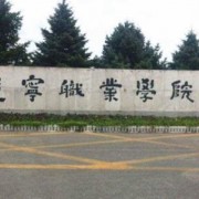 辽宁职业学院单招的logo