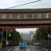湖南电子科技职业学院五年制大专的logo