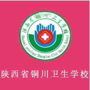 陕西省铜川卫生学校的logo
