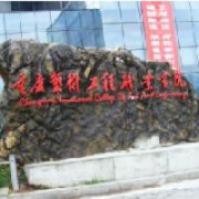 重庆艺术工程职业学院的logo