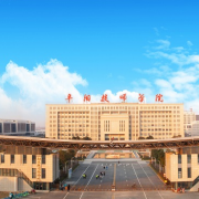 安徽阜阳技师学院的logo