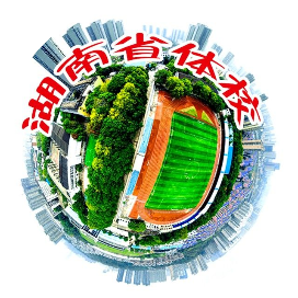 湖南省体育运动学校的logo