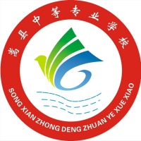 嵩县中等专业学校的logo