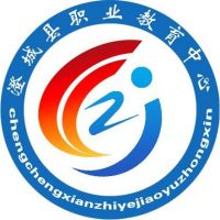 澄城县职业教育中心的logo