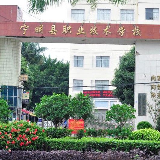 宁明县职业技术学校的logo