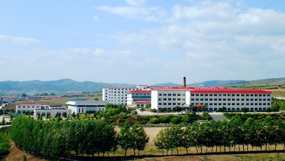 延吉国际合作技术学校的logo